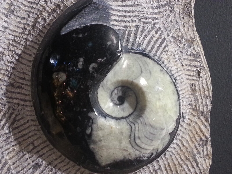 yin yang simbolo en la pareja